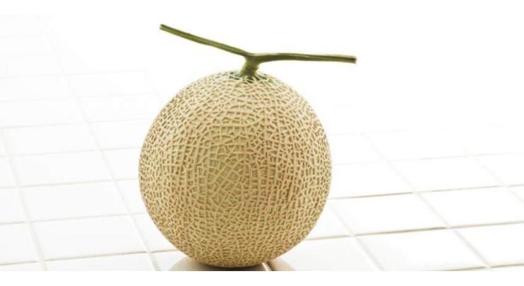 Pair of Japanese premium melons sell for record $29,300
