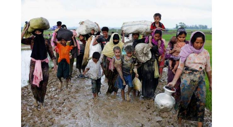 Myanmar says some Rohingya refugees returned voluntarily
