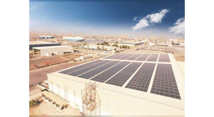 DP World launches green warehousing initiative on world environment day