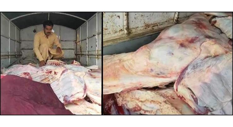 Punjab Food Authority seizes 3600kg emaciated meat
