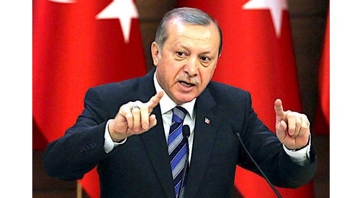 Erdogan says Turkey presses N.Iraq PKK operation
