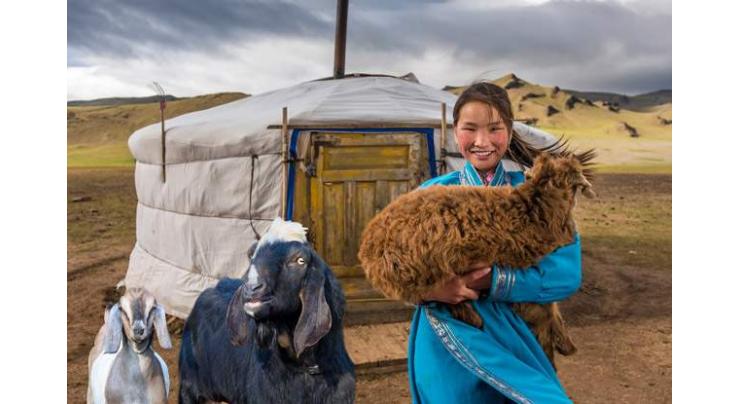Charity plans to lift 3,500 households out of poverty in Mongolia
