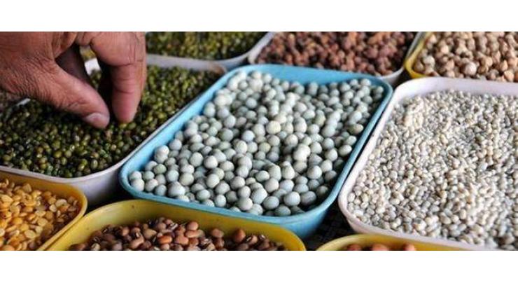 Agriculture deptt provides pulse seeds on subsidized rates
