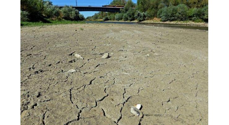 Drought haunts farmers in Poland, Baltic states
