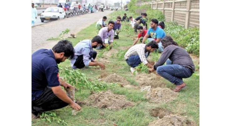 Small traders to get involved in plantation campaign in Karachi
