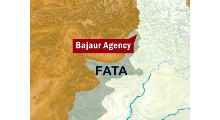 Two shot dead at Bajaur
