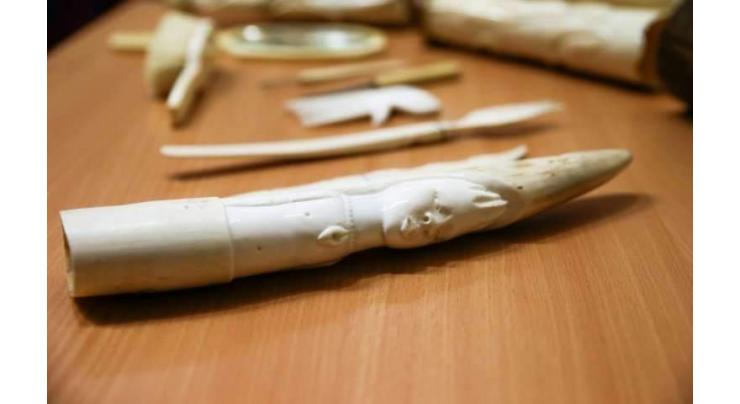 Illegal ivory openly sold across Europe: study
