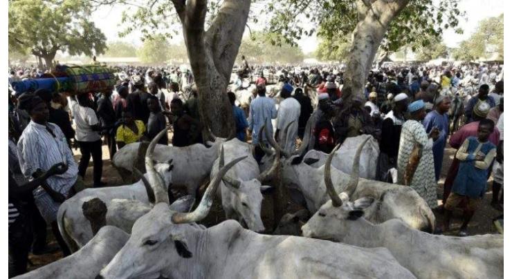 Suspected cattle thieves 'kill 26' in NW Nigeria
