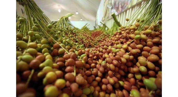 14th Liwa Date Festival to get underway on Wednesday