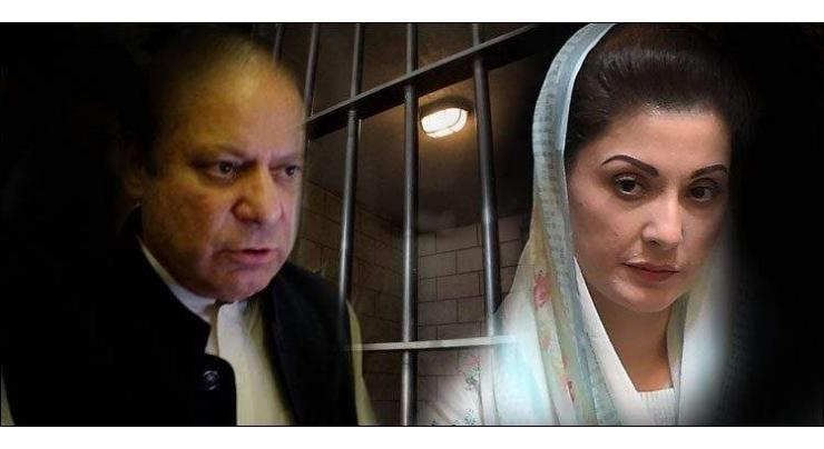 Nawaz Sharif getting chicken, mutton meals in Jail on his expense