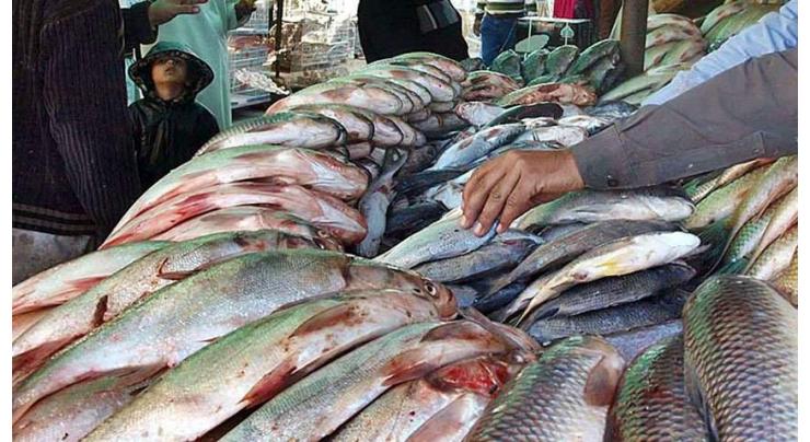 Fish exports up by 14.57% 23 July 2018
