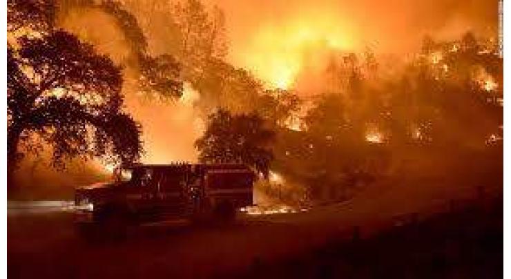 California brush fire kills one, forces evacuations
