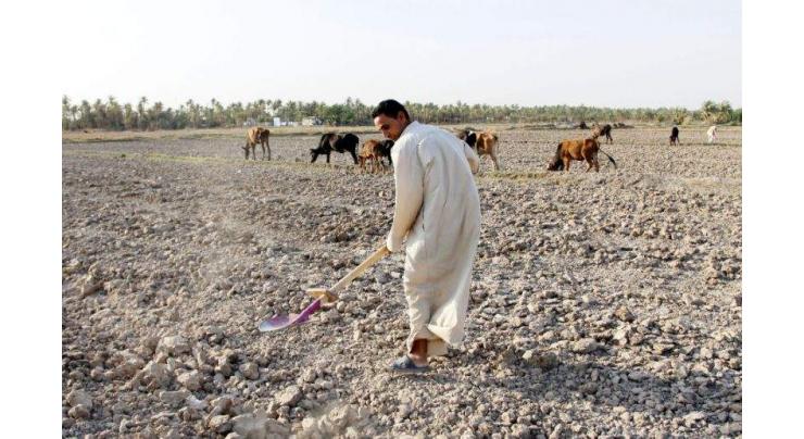 Cultivated areas halve in Iraq as drought tightens grip
