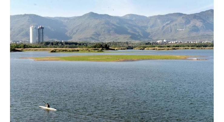 New wet spell to revive aquatic life of Rawal Lake
