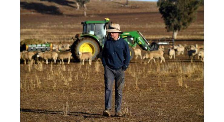 Despair as crippling drought hammers Australian farmers
