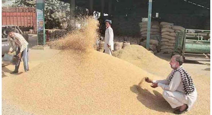 Robust plan afoot to ensure enough stock of wheat in GB: Official

