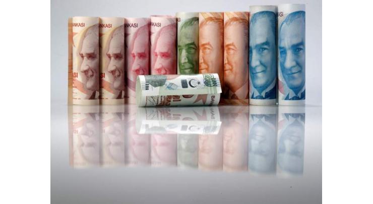 Equities enjoy modest recovery as Turkish lira rebounds
