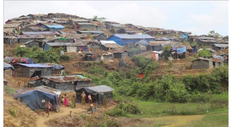 Turkish NGO sets up bamboo houses for Rohingya
