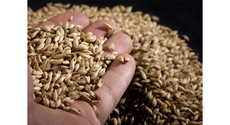 Russia May Prepare Test Batches of Wheat for Export to Saudi Arabia in Late 2018 -Ministry
