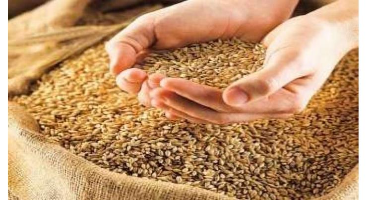 Enough stock of wheat available in GB: department
