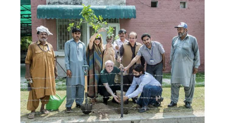 UVAS holds tree plantation activity to promote greenery at City Campus