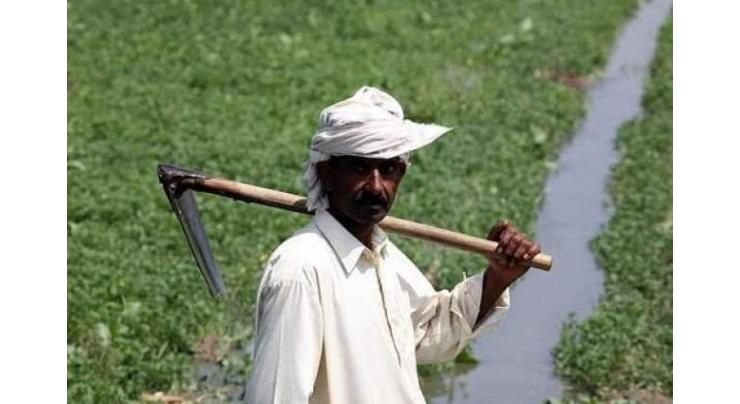 PIPIP project under way to facilitate farmers
