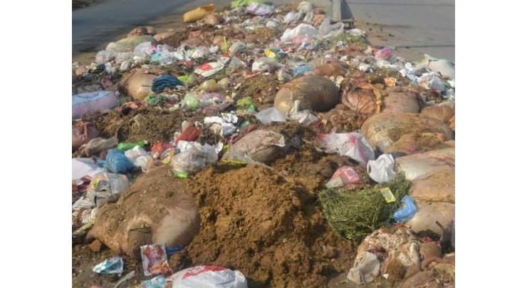 WSSP unveils Eid sanitation plan for animals' waste management

