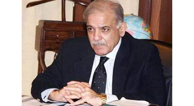 PML-N to made every sacrifice for strengthening democracy: Shahbaz Sharif 
