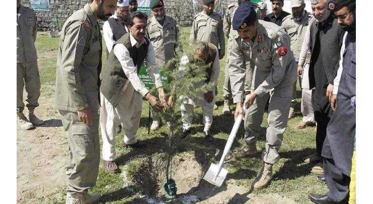 Army assisted plantation drive starts in Dir
