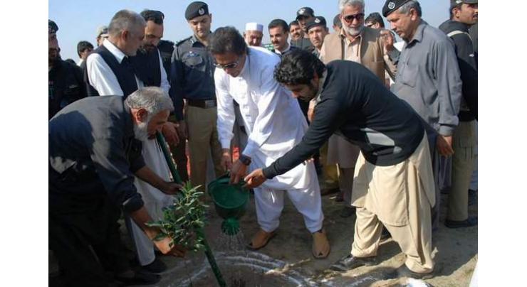 Experts laud PM Imran Khan for announcing massive tree plantation campaign
