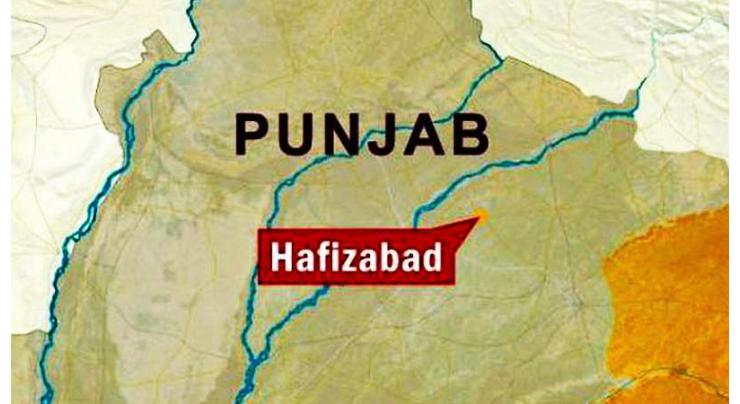 Two brothers shot dead in Hafizabad

