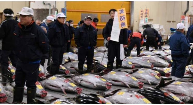 Japan's Tsukiji fish market to stop tourist tuna viewings
