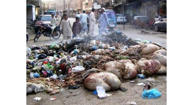Rawalpindi Waste Management Company to remove 15,000 tons waste on Eidul Azha
