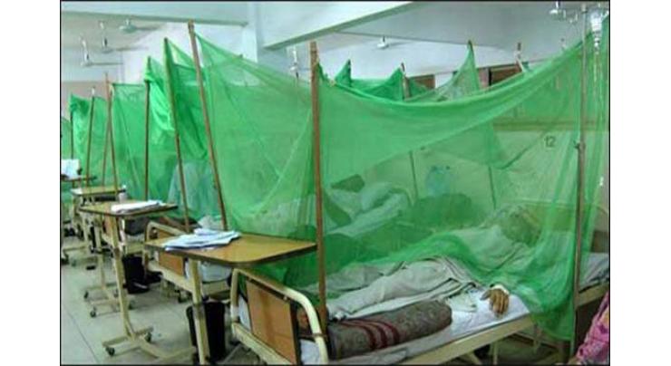 132 people affected by dengue virus this year: report
