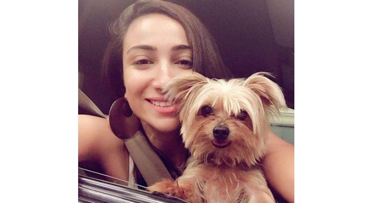 Anoushey Ashraf’s pet is missing and she has a reward for one who finds it