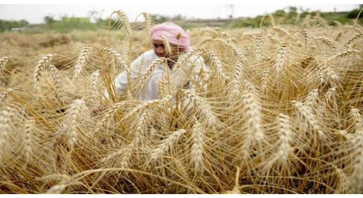 Prevailing meteorological conditions to create water shortage for Rabi crops
