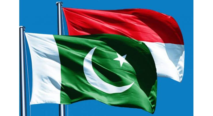 Pakistan-Indonesian bilateral trade to jump 9 bln dollar by 2019: envoy
