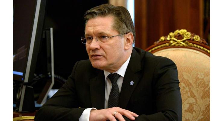 Russia's Rosatom Ready to Boost Use of National Currencies in International Transactions - CEO