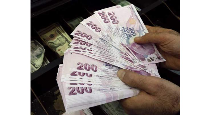 Turkish lira gains value against US dollar
