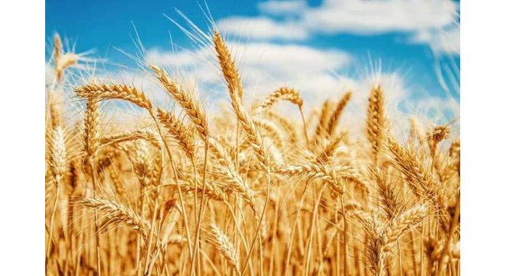 All Pakistan Flour Mills Association demands new export policy for wheat
