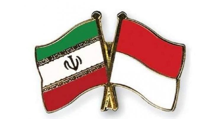 Iranian, Indonesian MPs call for development of ties

