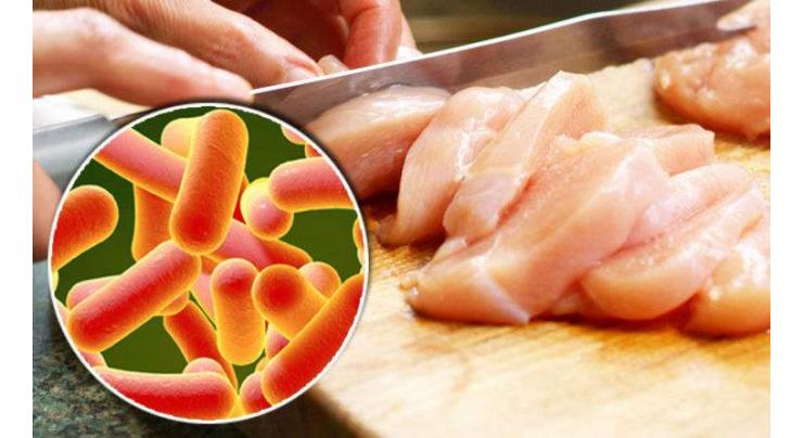 US Traces 47-State Food Poisoning Outbreak to Backyard Chickens, Ducks - Health Department