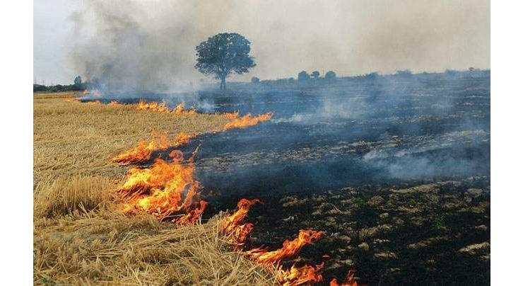 Farmers asked to avoid burning of crop residual
