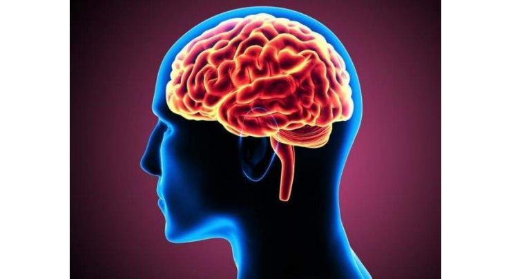 Immune cells in brain play significant role in schizophrenia: Study
