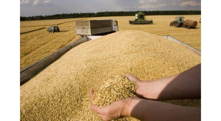 Russia's Wheat Exports Up 35.7% Year-on-Year as of September 20 - Agriculture Ministry