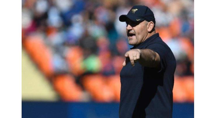 Argentina's Pumas, another animal under Ledesma's leadership
