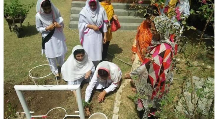 Government Girls Higher Secondary School (GHSS) joins tree plantation drive
