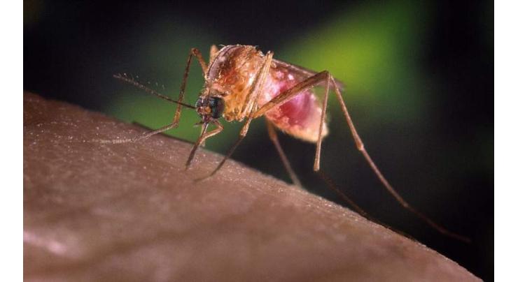 Number of West Nile Virus Victims in Greece Grows to 31 - Decease Control Center
