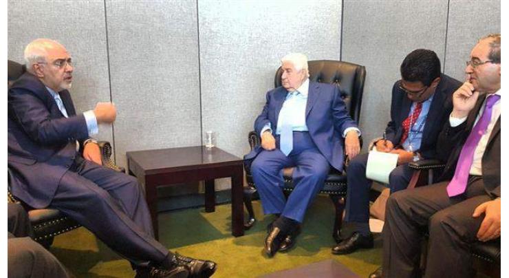 Iran, Syria FMs discus Astana peace process
