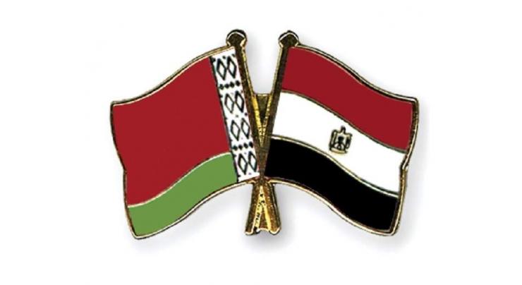 Belarus, Egypt discuss joint venture in video games production
